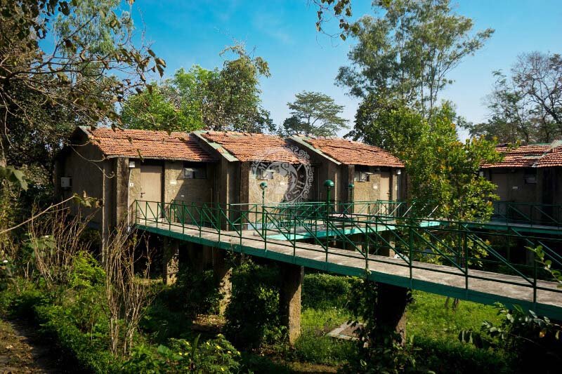 White Tiger Forest Lodge in Bandhavgarh