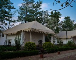 hotels in amarkantak