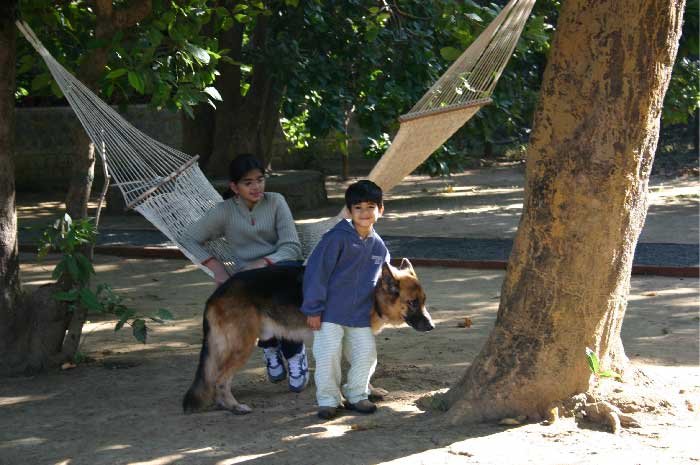 Royal Tiger Resort Kanha