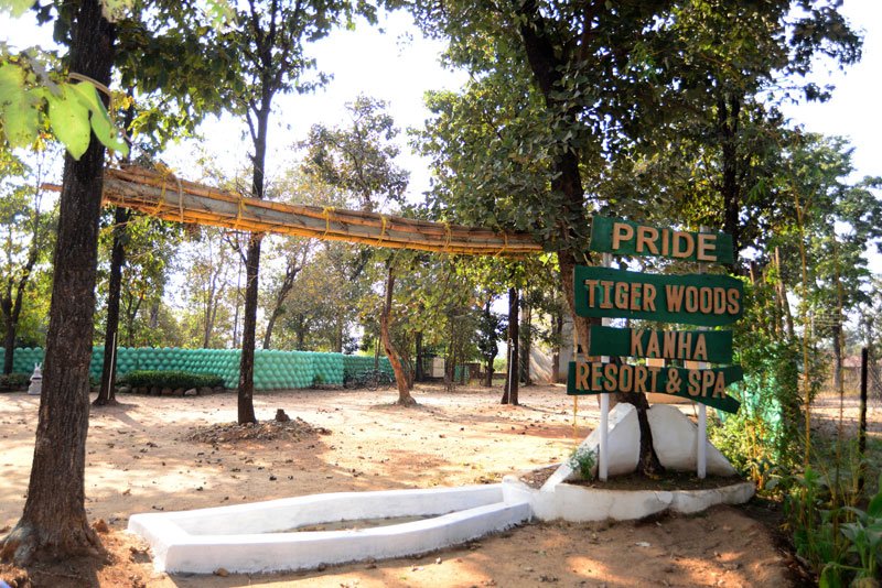 Tiger Woods Kanha