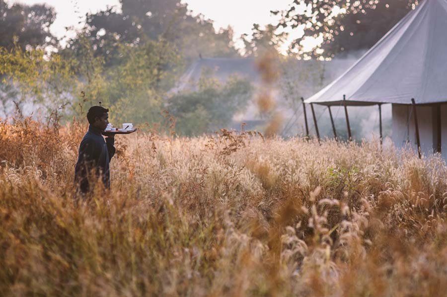 Jamtara Wilderness Camp Pench