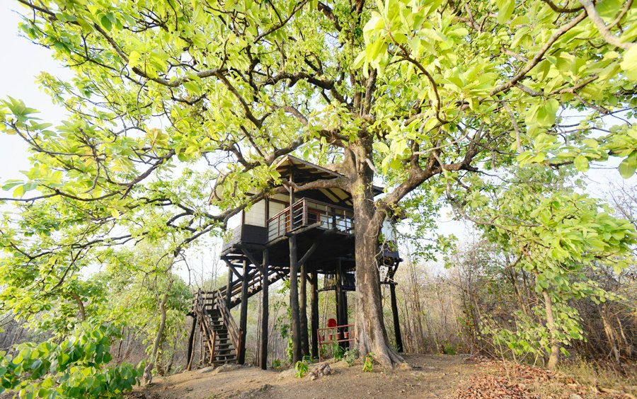 Pench Tree Lodge