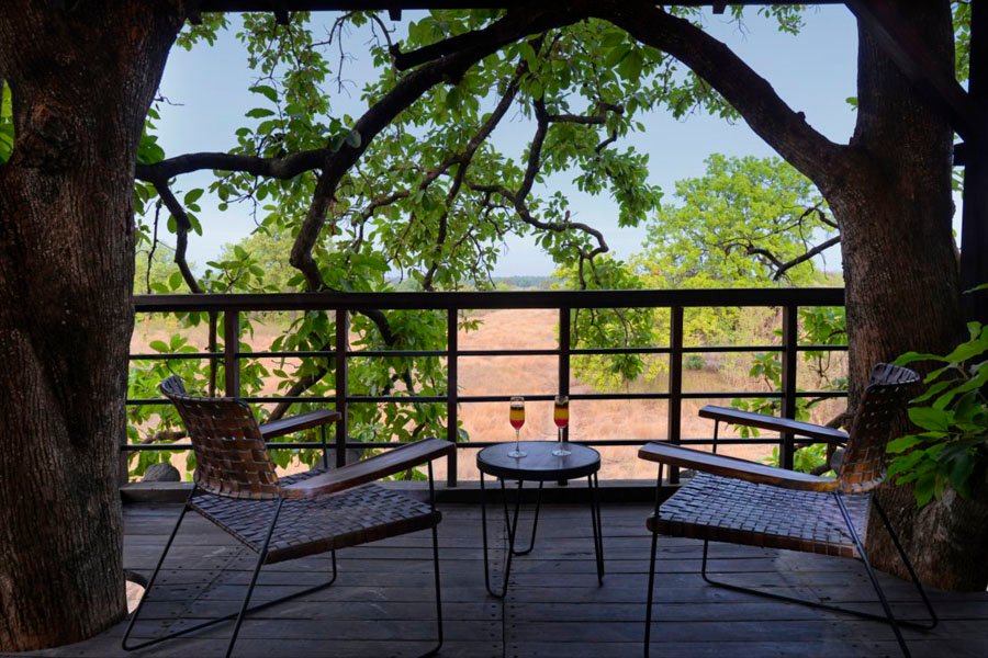 Pench Tree Lodge Pench