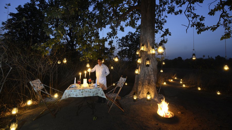 Pench Tree Lodge Pench