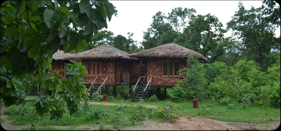 Tribal Camp Pench