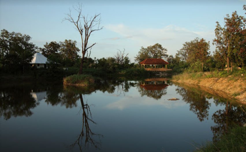 Tuli Tiger Corridor Pench